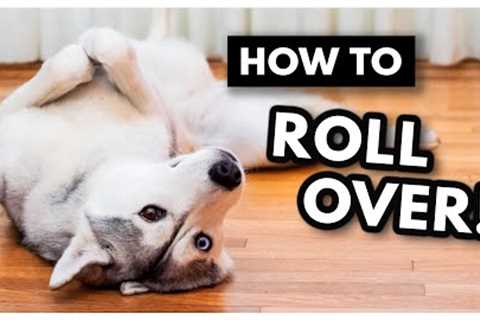 The EASIEST way to Teach Your Dog to ROLL OVER! | How to teach your dog to roll over
