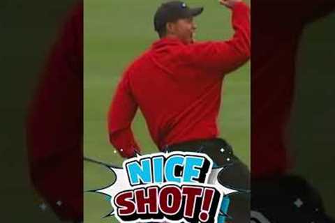 Tiger Woods Best Shot! #shorts