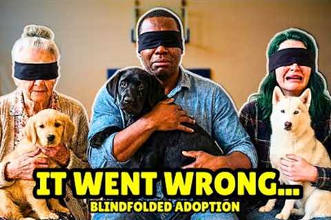 We Blindfolded 45 Strangers And Let Shelter Dogs Choose Their Owners 🥹