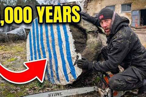 Inside A 5,000 Year Old Log... (Unreal!)