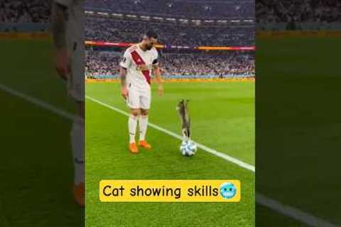 Cat showing skills to ronaldo 🥶☠️