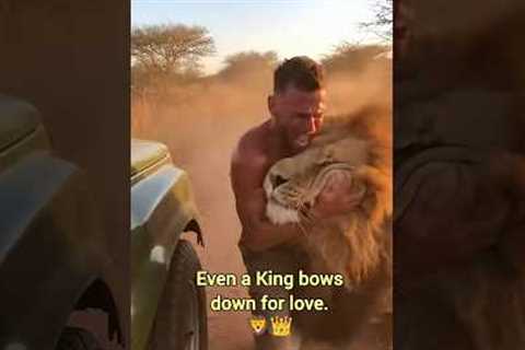 When Wild Animals See Their Best Friends Again