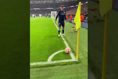 Dog Takes the Corner Kick! 🐶⚽😂 #football #soccer #funnymoments