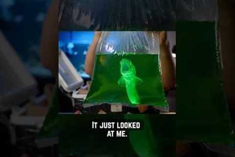 Dark web fish mystery box.. what will he find inside of these packages? #fish #mystery #comedy