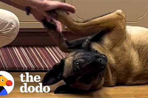 Rescue Dog Learns To Trust Again With Help From Her Grandparents | The Dodo