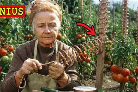 30 SMART Gardening Tricks Only Grandma Knew (No Tools Needed)
