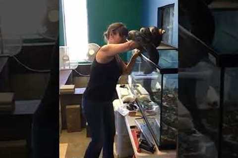 what did she do wrong here? Snake bites woman, and wraps her up.