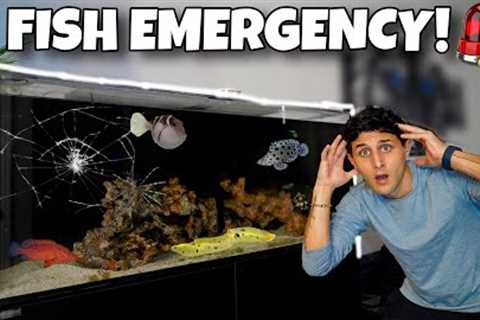 We Had An EMERGENCY With My SALTWATER AQUARIUM!! 