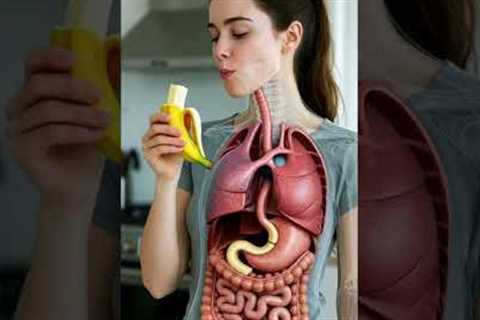 How Your Digestive System Breaks Down a Banana 🍌 | 3D Anatomy Animation