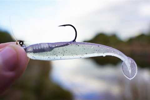How To Start Soft Plastics Fishing (Beginners Guide)