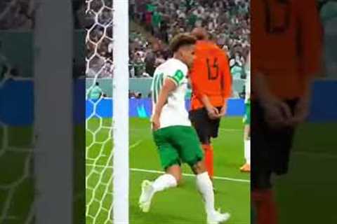 Most Funny goals in the history 🤣 #football #soccer