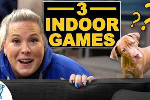 3 Indoor Dog Training Games (When You Don't Want To Go Outside)