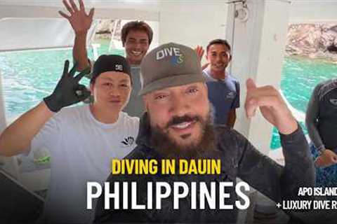 Secrets Beneath Dauin | Scuba, Turtles, &amp; Coral at Apo Island!
