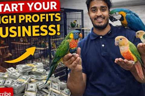 MAPLE EXOTIC PETS SHOP ! #Navimumbai #petshop #petkeepers 
