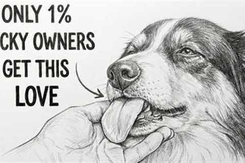 Dog Psychology | 10 Rare Behaviors Dogs Show ONLY When They Love You Deeply