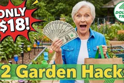 Transform Your Garden for Under $20 | Dollar Tree DIY Garden Ideas