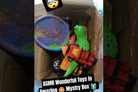 ASMR Wonderful Toys in Amazing Mystery Box 🎁 With Satisfying Sound #asmr #mysterybox #toys..
