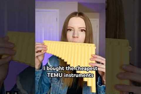 I bought the cheapest TEMU instruments!
