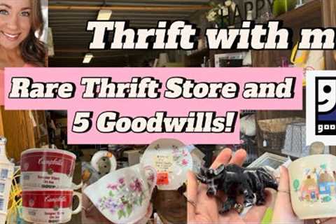 Hidden Gem Thrift Store, 5 Goodwills, &amp; More! 