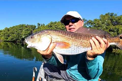 How To Catch Big Redfish In winter Time Using This Bait!!
