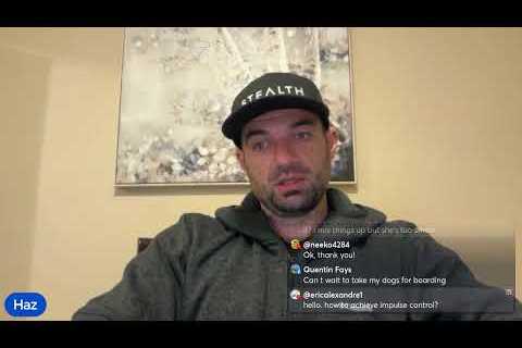 LIVE Dog Training Q/A and more
