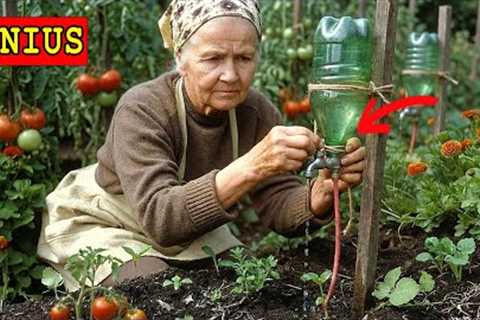 25 No-Tool Gardening Hacks to Grow More and Work Less