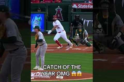 Baseball highlights #mlb#baseball #fyp#usa#funny