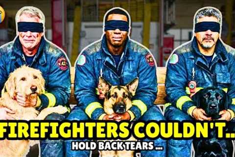 Blindfolded Firefighters Let Shelter Dogs Choose Their Owners And THIS Happened 💔