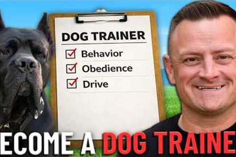 How to Become A Dog Trainer The RIGHT Way!