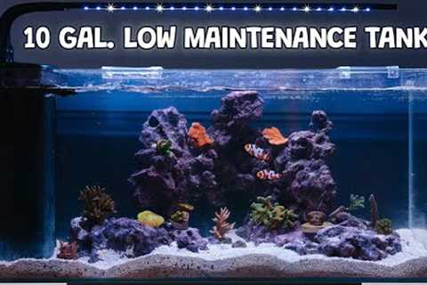 Fish Tank Maintenance: How to Have a Nearly Maintenance Free Tank! JBJ Rimless Tank Set up and Build