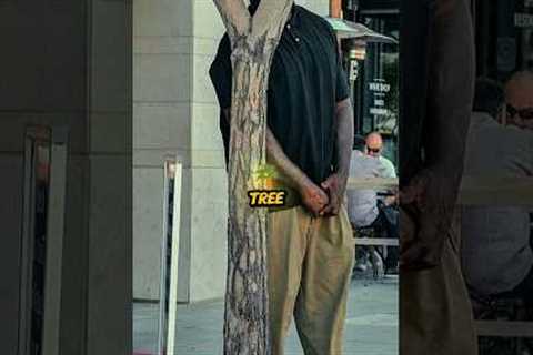 Celebs Have the Funniest Paparazzi Escape Tricks
