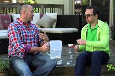 How To Make Organic Insect Repellent