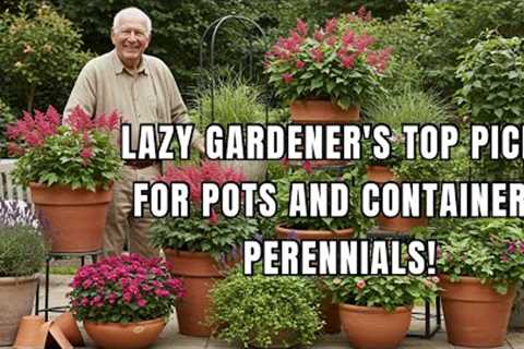 Top Lazy Gardener’s Dream: 15 Perennials Perfect For Containers/Pot Hack!