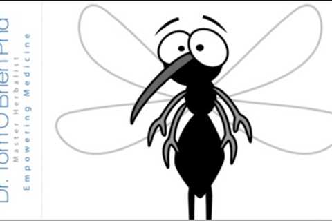How to make a Natural Insect Repellant Spray