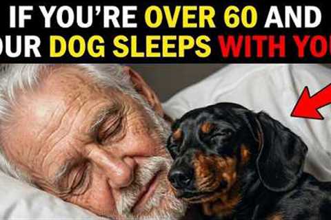 If You Sleep With Your Dog Every Night, THIS Will Happen