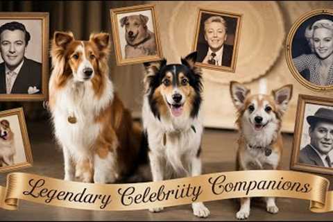 The Legendary K9s Who Were Best Friends with Famous Celebrities