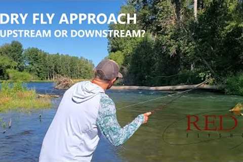Are You Casting a Dry Fly Correctly? // Upstream vs. Downstream Casting Strategies