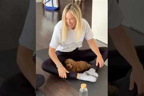 Big energy from little pups! Our Cockapoo puppy yoga class brought laughter, joy, and cuddles.