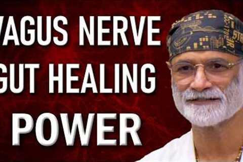How the Vagus Nerve Heals Your Gut: The Key to Digestive Health and Healing