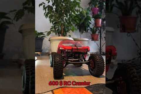 12KG Flower Pot VS RC CAR'S
