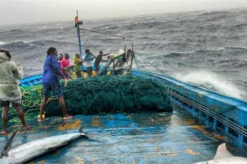 OMG! Boat in Storm 🌊 | Day 10 Deep Sea Fishing Adventure &amp; Big Fish Catch