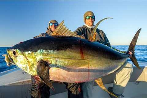 GIANT Yellowfin Tuna! Catch Clean Cook (Venice Tuna Fishing)