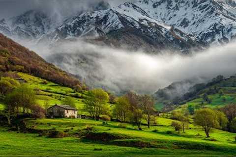 Beautiful Piano Music 🌿 Calm Anxiety, Reduce Stress &amp; Restore Nervous System