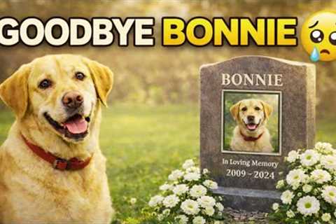 In Memory of Bonnie   Story of My Life | top best dog training techniques !
