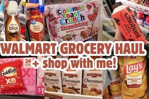 NEW Walmart Grocery Haul | Walmart Shop with Me | January 2026