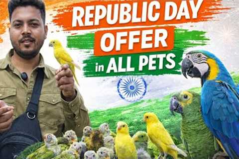 Republic Day Special | Bringing Home Happiness with Pets #birdlovers #wajidexoticpets 