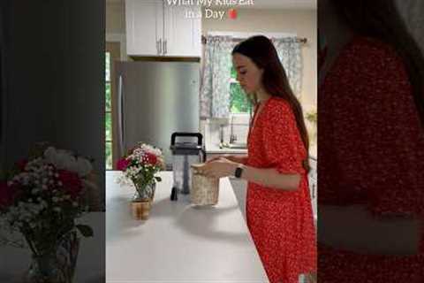 What My Kids Eat in a Day🍓 #healthy #meals #toddlermeals #recipe #mom #organic #mealideas #kids