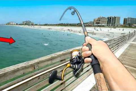 Florida PIER Fishing! Eating Whatever I Catch.. (Catch and Cook)