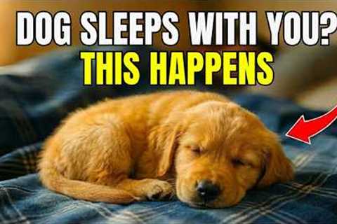 If Your Dog Sleeps in Your Bed ➡️ THIS Will Shock You!