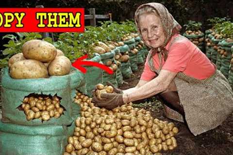 33 Old Gardening Hacks for Seniors To Grow More With Less Work